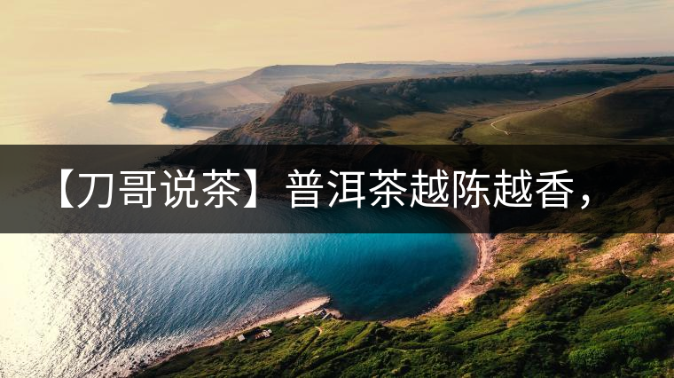 【刀哥說茶】普洱茶越陳越香，為什么新茶更受歡迎？