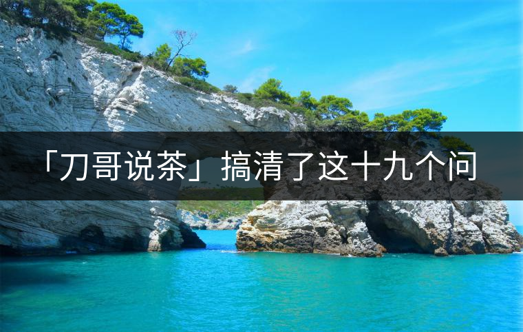 「刀哥說茶」搞清了這十九個問題，您就是熟茶專家