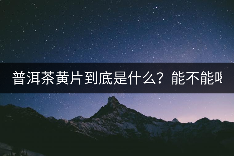 普洱茶黃片到底是什么？能不能喝？