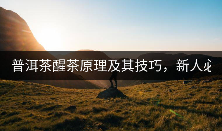 普洱茶醒茶原理及其技巧，新人必備！