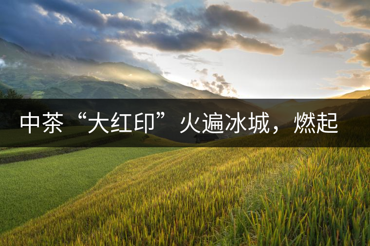 中茶“大紅印”火遍冰城，燃起普洱茶新味蕾