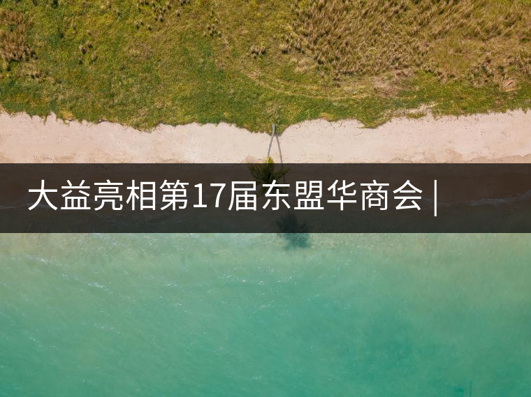 大益亮相第17屆東盟華商會(huì) | 海內(nèi)外嘉賓共謀發(fā)展，共品大益茶