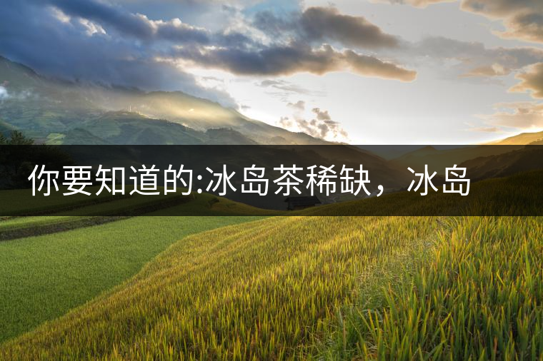 你要知道的:冰島茶稀缺，冰島熟茶更來之不易你要知道的：冰島茶稀缺，冰島熟茶更來之不易