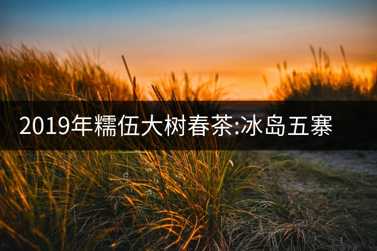 2019年糯伍大樹春茶:冰島五寨甜柔口感的代表，售價不...2019年糯伍大樹春茶：冰島五寨甜柔口感的代表，售價不到500