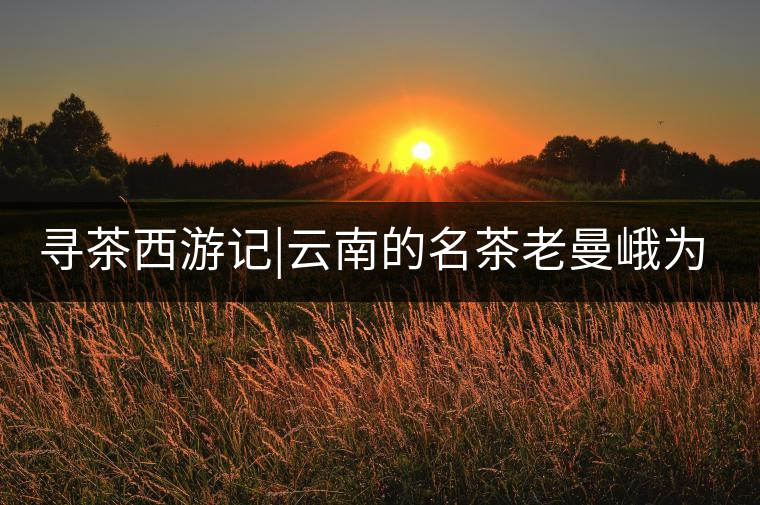尋茶西游記|云南的名茶老曼峨為什么這么多人愛，這里...尋茶西游記｜云南的名茶老曼峨為什么這么多人愛，這里給你答案！