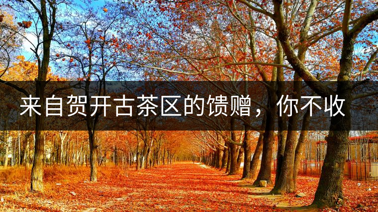 來(lái)自賀開古茶區(qū)的饋贈(zèng)，你不收一波嗎?來(lái)自賀開古茶區(qū)的饋贈(zèng)，你不收一波嗎？