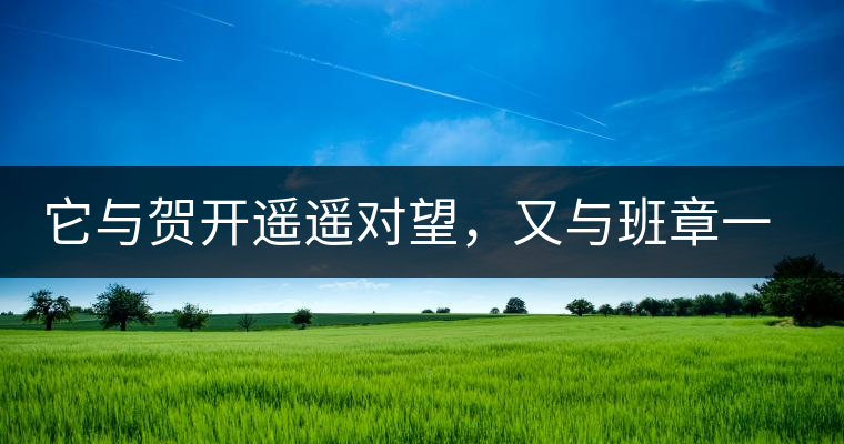 它與賀開遙遙對望，又與班章一衣帶水，它是班盆古樹春尖它與賀開遙遙對望，又與班章一衣帶水，它是班盆古樹春尖