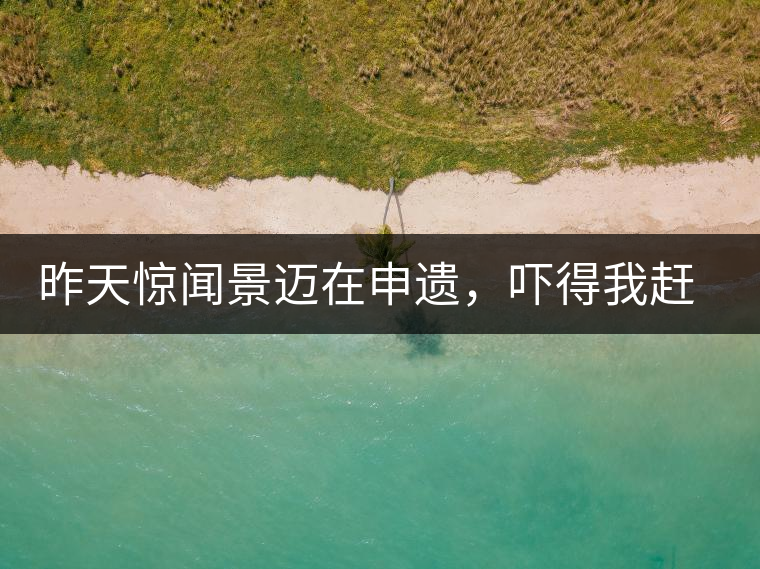 昨天驚聞景邁在申遺，嚇得我趕緊拿出景邁茶……昨天驚聞景邁在申遺，嚇得我趕緊拿出景邁茶……