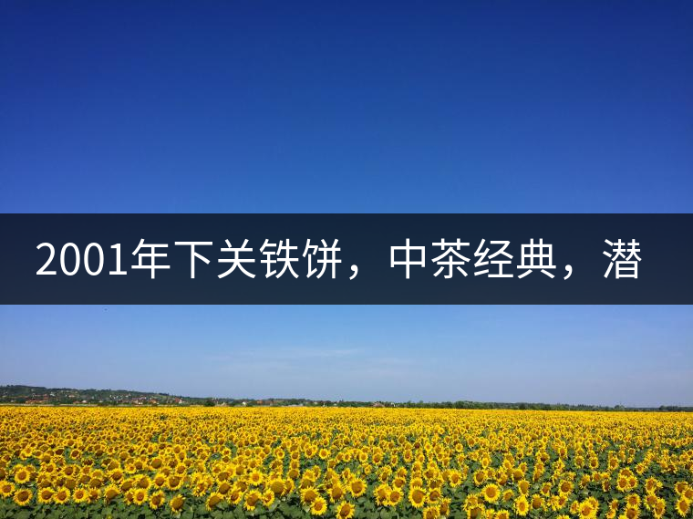 2001年下關(guān)鐵餅，中茶經(jīng)典，潛力可期!