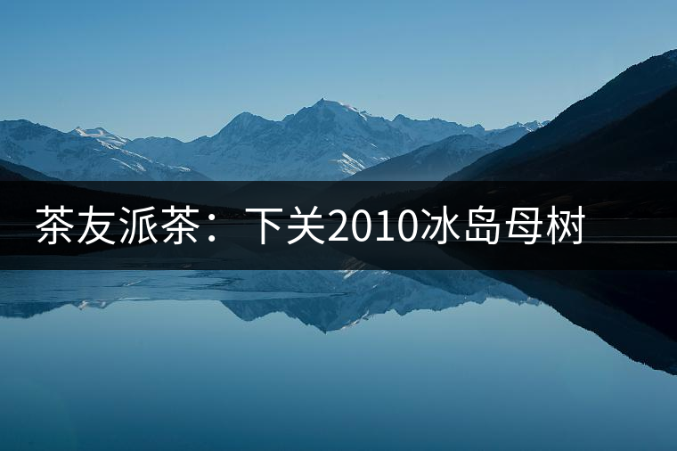 茶友派茶：下關(guān)2010冰島母樹，挺甜的，母樹是個(gè)什么概念？