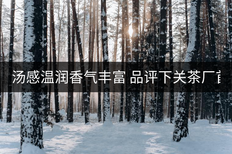 湯感溫潤香氣豐富 品評下關茶廠首批8653湯感溫潤香氣豐富 品評下關茶廠首批8653