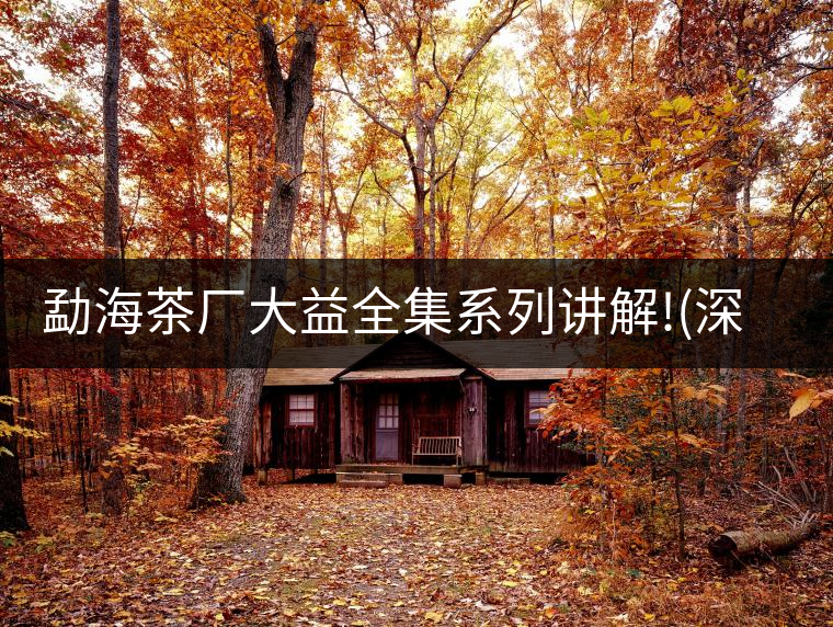 勐海茶廠大益全集系列講解!(深度講解大益茶品，建議收藏...勐海茶廠大益全集系列講解?。ㄉ疃戎v解大益茶品，建議收藏）