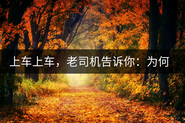 上車上車，老司機告訴你：為何明前茶貴如金