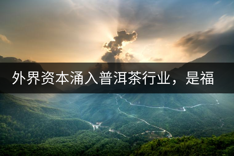 外界資本涌入普洱茶行業(yè)，是福還是禍？