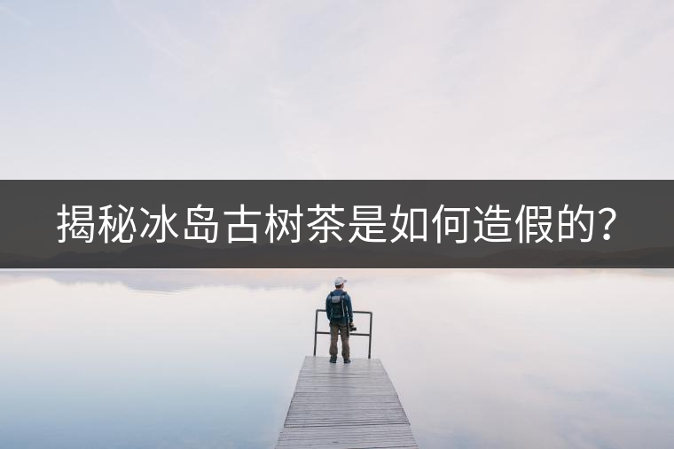 揭秘冰島古樹茶是如何造假的？