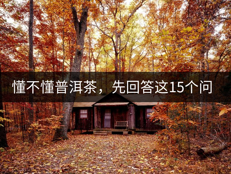 懂不懂普洱茶，先回答這15個問題試試？