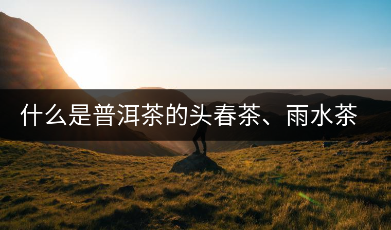 什么是普洱茶的頭春茶、雨水茶和谷花茶，怎樣區(qū)別？