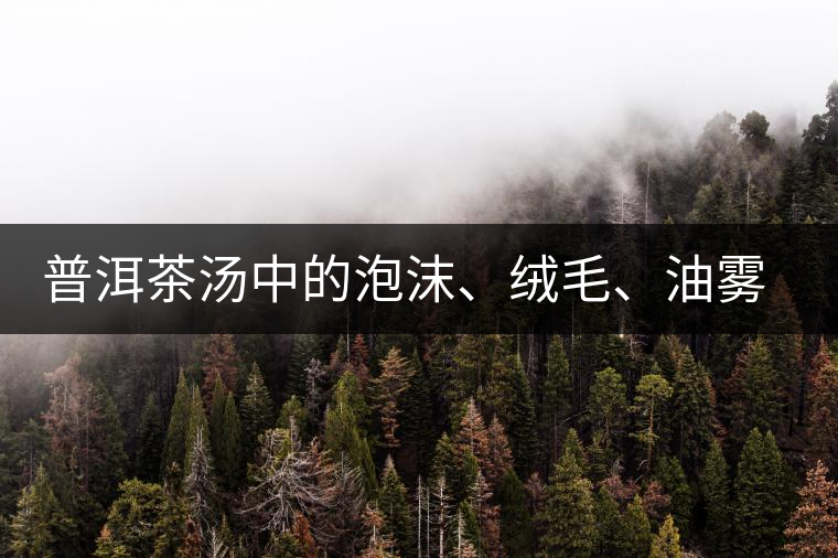 普洱茶湯中的泡沫、絨毛、油霧、絮狀物……原來是這些東西！