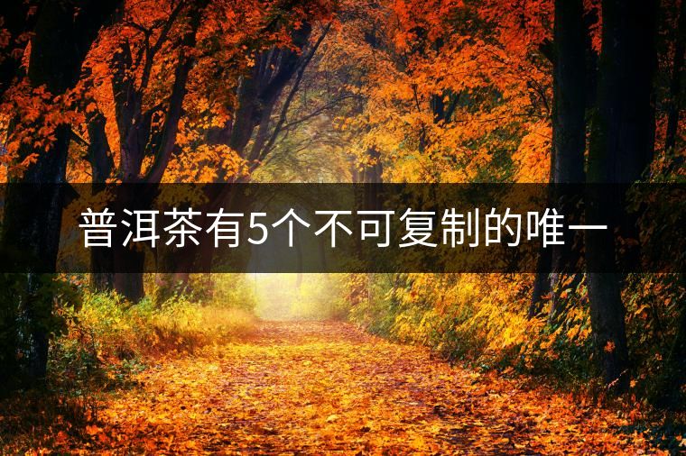 普洱茶有5個不可復制的唯一 普洱茶有5個不可復制的唯一