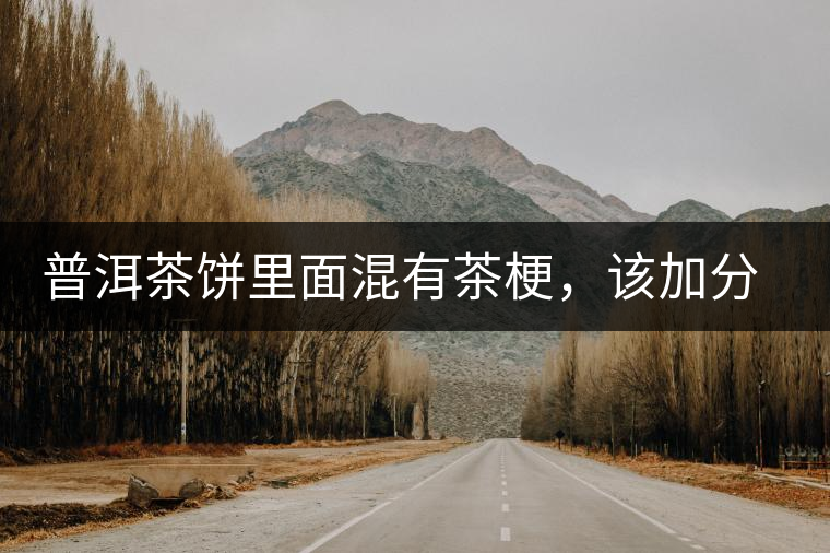 普洱茶餅里面混有茶梗，該加分還是減分？