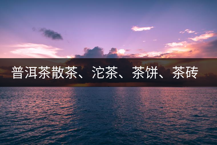 普洱茶散茶、沱茶、茶餅、茶磚哪種更好？