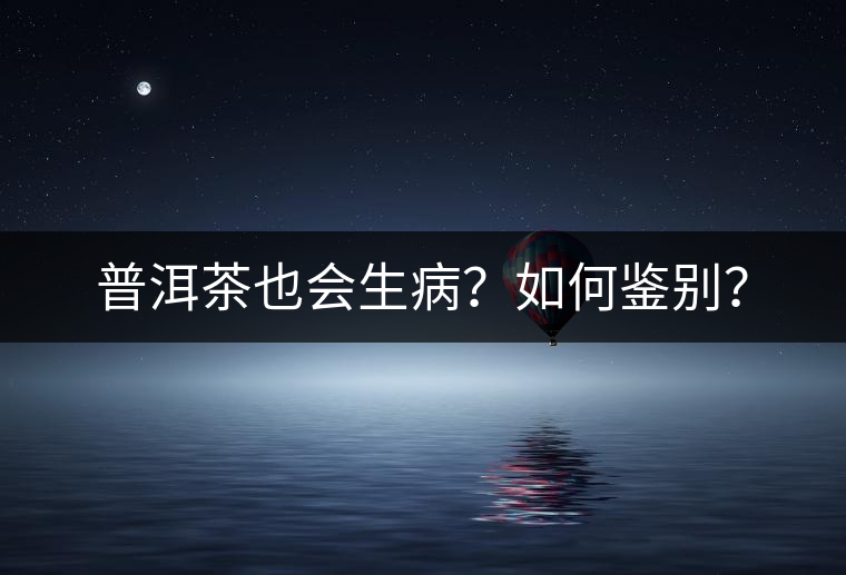 普洱茶也會(huì)生病？如何鑒別？