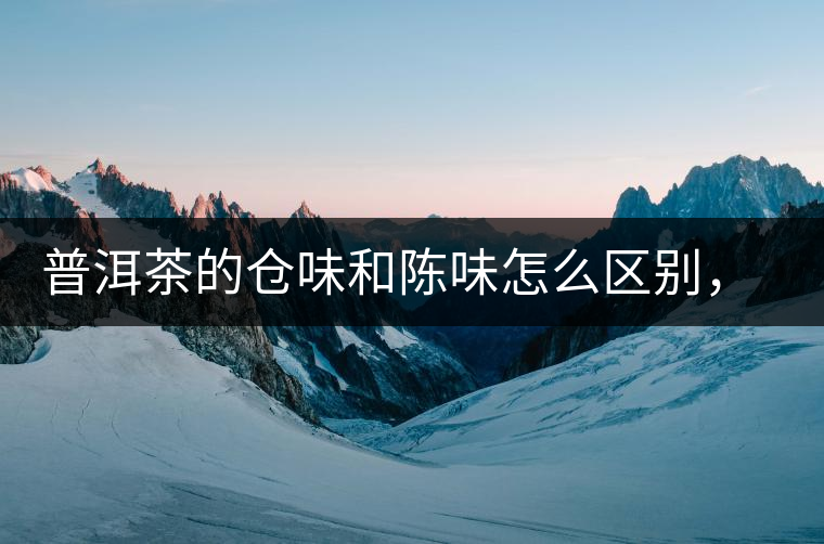 普洱茶的倉味和陳味怎么區(qū)別，如何避免？