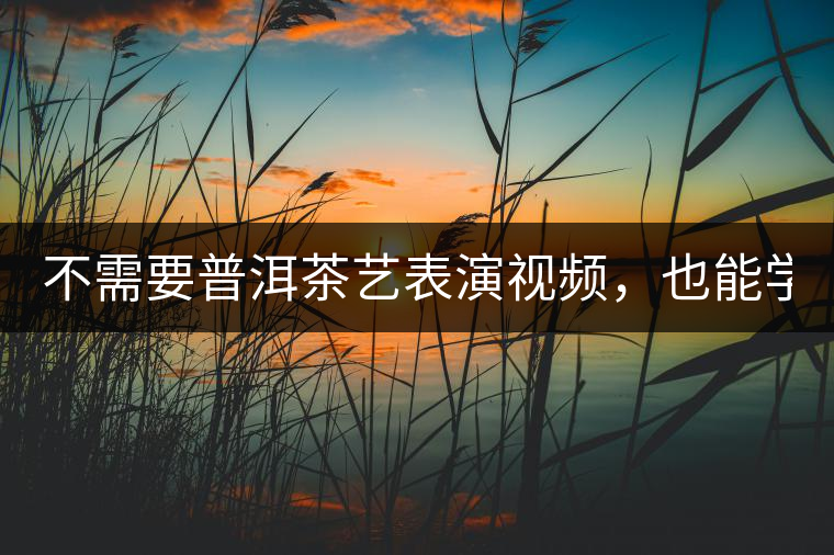 不需要普洱茶藝表演視頻，也能學(xué)會(huì)的茶藝！