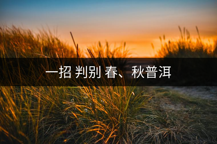 一招 判別 春、秋普洱