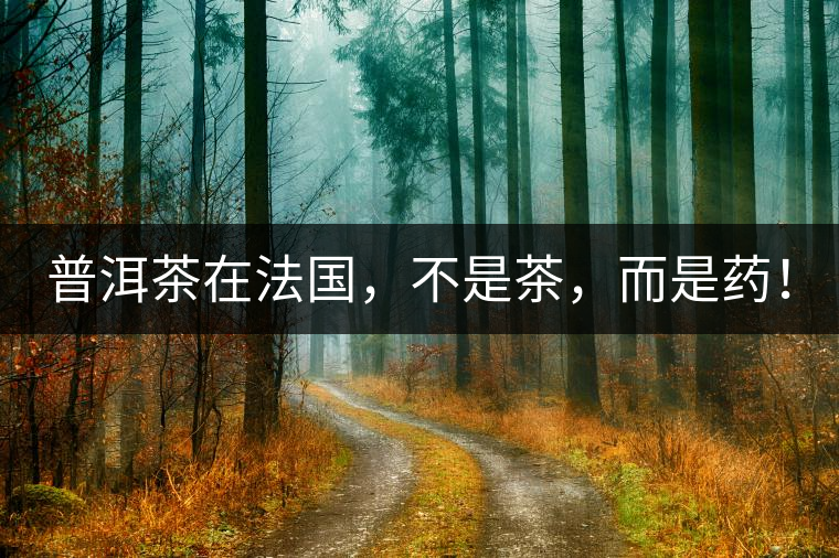 普洱茶在法國(guó)，不是茶，而是藥！