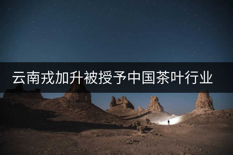 云南戎加升被授予中國(guó)茶葉行業(yè)終身成就獎(jiǎng) 云南戎加升被授予中國(guó)茶葉行業(yè)終身成就獎(jiǎng)