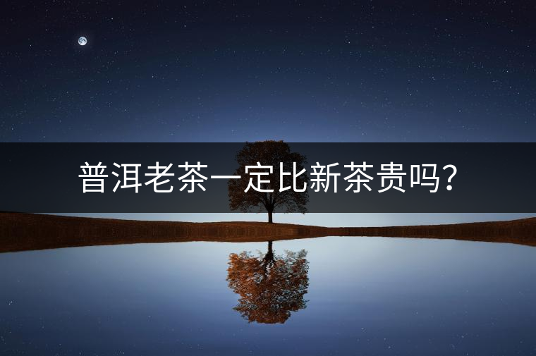 普洱老茶一定比新茶貴嗎？