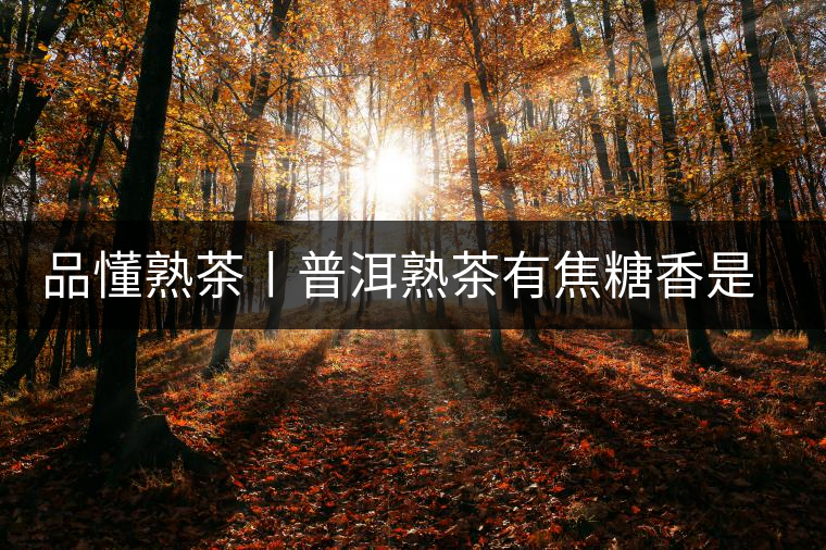 品懂熟茶丨普洱熟茶有焦糖香是好還是不好的表現(xiàn)？