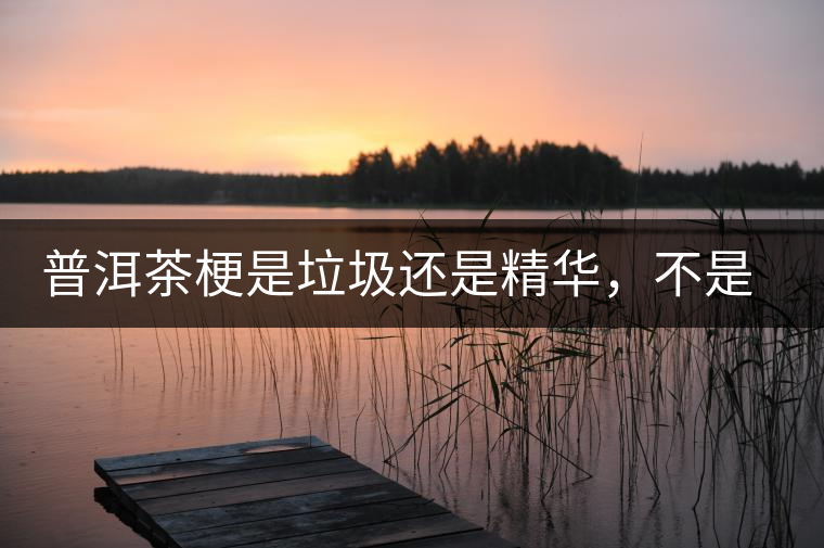 普洱茶梗是垃圾還是精華，不是一個(gè)人說(shuō)的算