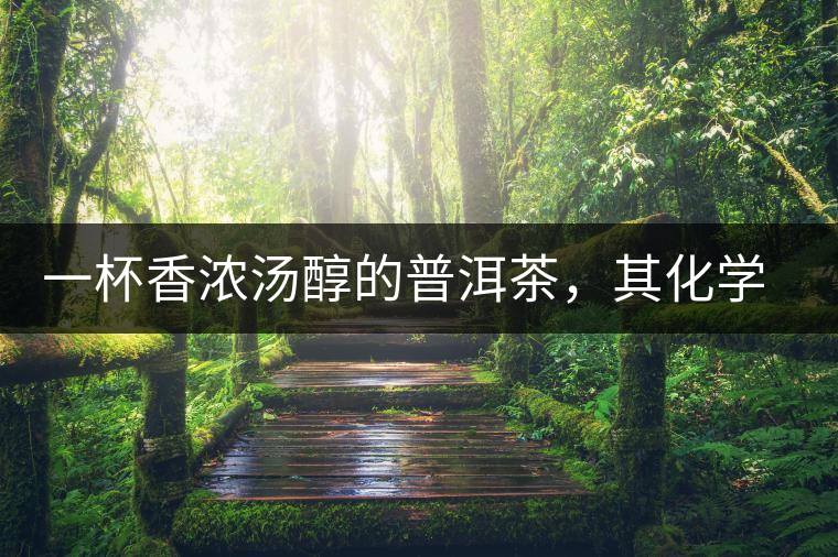 一杯香濃湯醇的普洱茶，其化學(xué)成分是怎樣的？