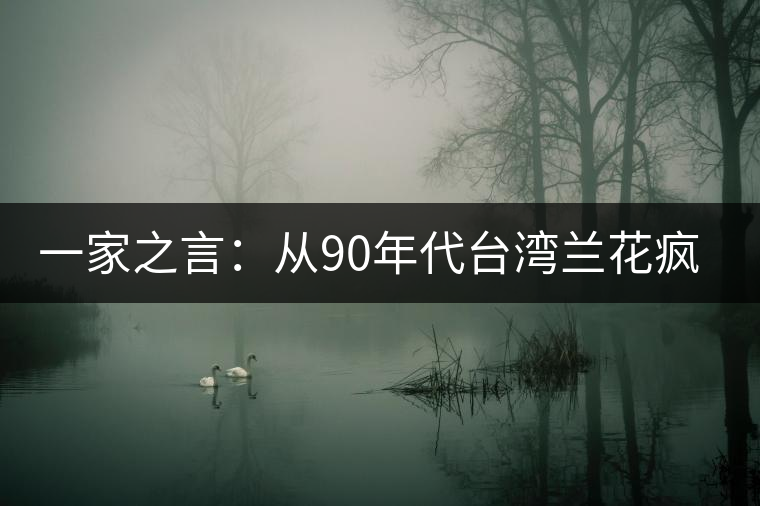 一家之言:從90年代臺灣蘭花瘋炒看普洱茶的未來 一家之言:從90年代臺灣蘭花瘋炒看普洱茶的未來