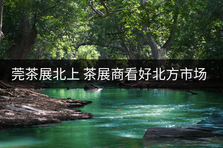 莞茶展北上 茶展商看好北方市場(chǎng)！