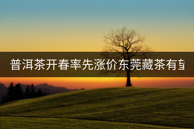 普洱茶開春率先漲價(jià)東莞藏茶有望“開倉”