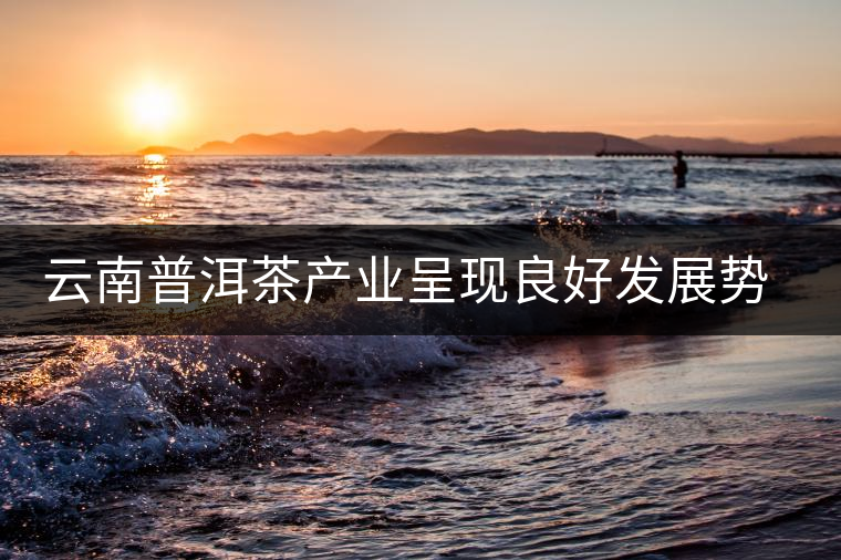 云南普洱茶產(chǎn)業(yè)呈現(xiàn)良好發(fā)展勢頭 云南普洱茶產(chǎn)業(yè)呈現(xiàn)良好發(fā)展勢頭