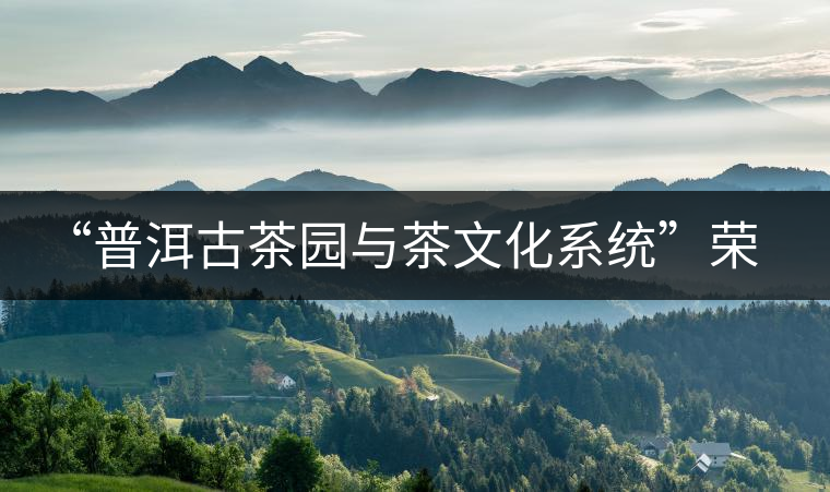 “普洱古茶園與茶文化系統(tǒng)”榮膺中國首批重要農業(yè)文化遺產(chǎn)