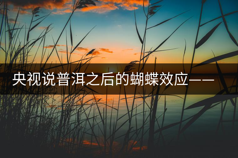 央視說(shuō)普洱之后的蝴蝶效應(yīng)——過(guò)度開(kāi)采會(huì)出現(xiàn)“死循環(huán)”？