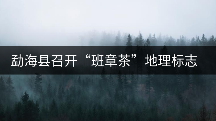 勐?？h召開“班章茶”地理標(biāo)志認(rèn)證評審會