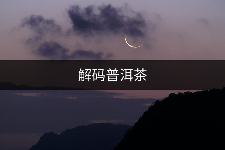 解碼普洱茶
