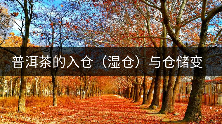 普洱茶的入倉(cāng)（濕倉(cāng)）與倉(cāng)儲(chǔ)變化