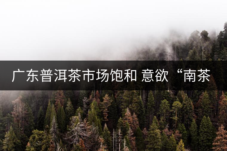廣東普洱茶市場(chǎng)飽和 意欲“南茶北銷”