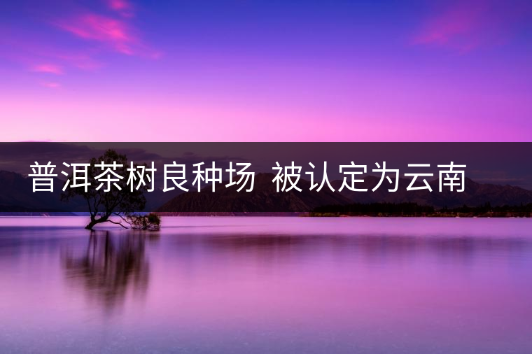 普洱茶樹良種場(chǎng) 被認(rèn)定為云南省優(yōu)質(zhì)種業(yè)基地 普洱茶樹良種場(chǎng) 被認(rèn)定為云南省優(yōu)質(zhì)種業(yè)基地