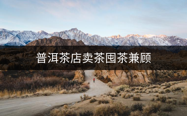 普洱茶店賣(mài)茶囤茶兼顧
