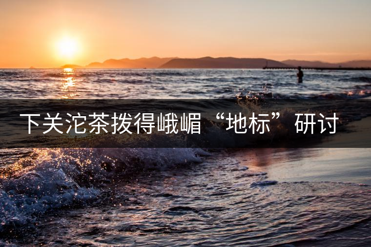 下關(guān)沱茶撥得峨嵋“地標(biāo)”研討會(huì)頭籌 下關(guān)沱茶撥得峨嵋“地標(biāo)”研討會(huì)頭籌