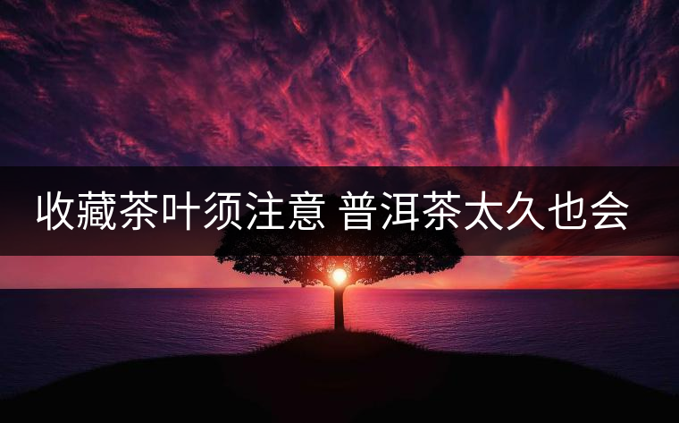 收藏茶葉須注意 普洱茶太久也會過期