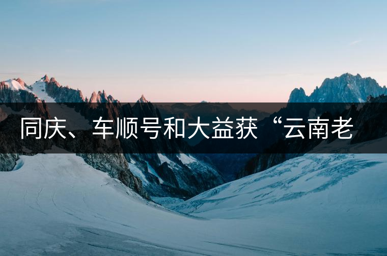 同慶、車順號(hào)和大益獲“云南老字號(hào)”稱號(hào)